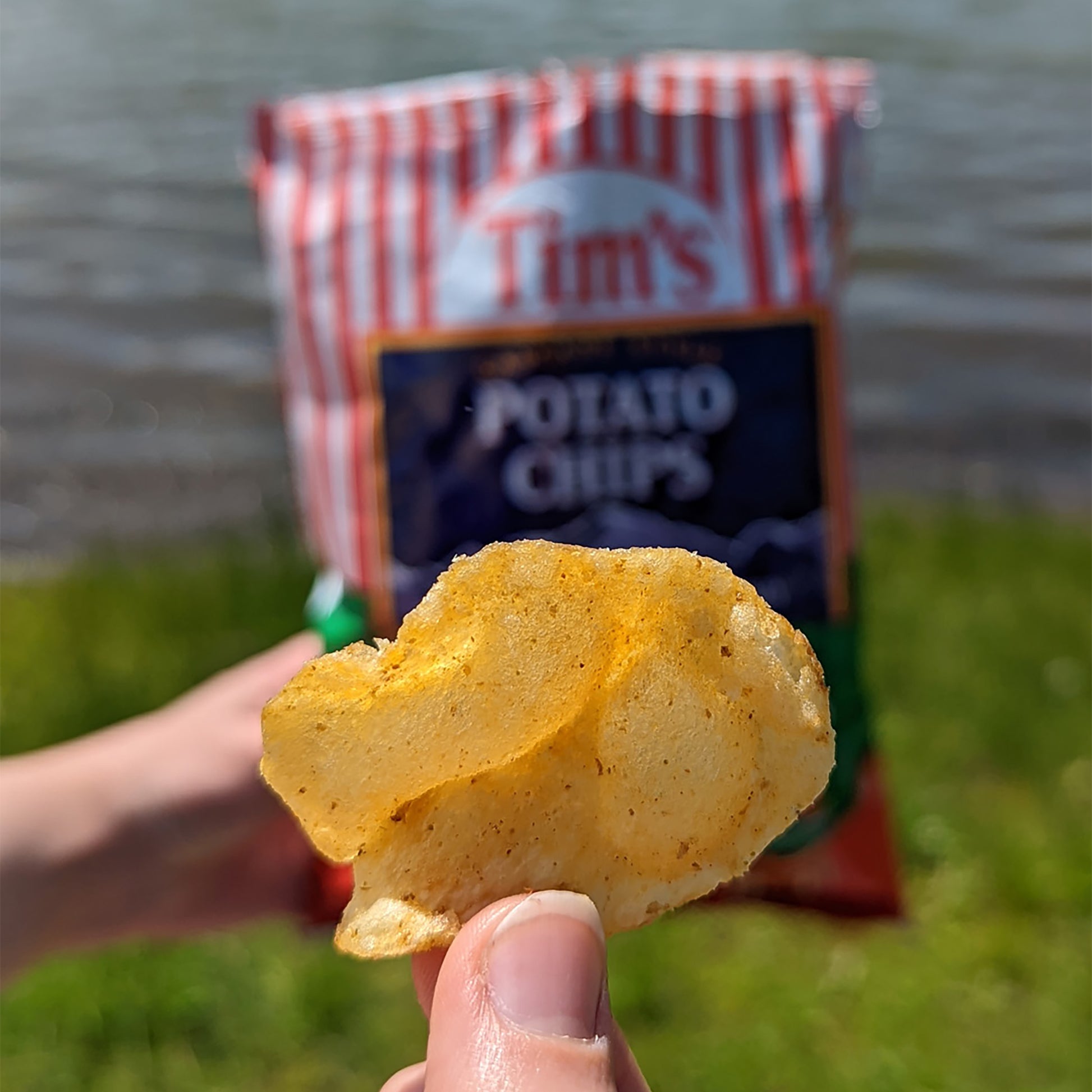 Hand holding a potato chip in front of a 'Tim's Potato Chips' bag outdoors.